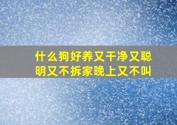 什么狗好养又干净又聪明又不拆家晚上又不叫