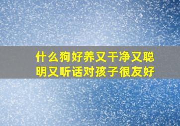 什么狗好养又干净又聪明又听话对孩子很友好