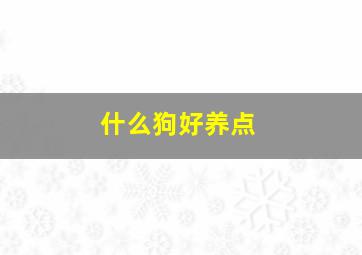 什么狗好养点