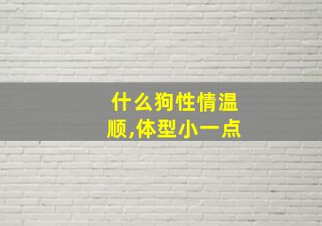 什么狗性情温顺,体型小一点