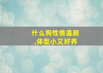 什么狗性情温顺,体型小又好养