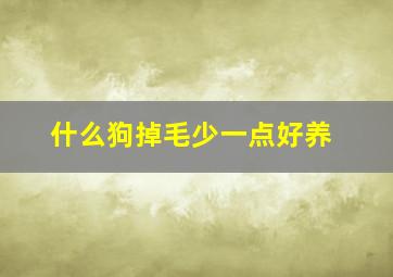 什么狗掉毛少一点好养