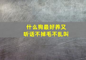 什么狗最好养又听话不掉毛不乱叫