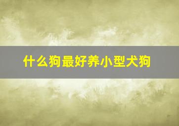 什么狗最好养小型犬狗