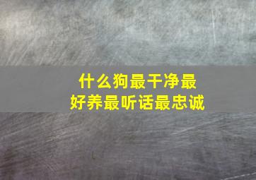 什么狗最干净最好养最听话最忠诚