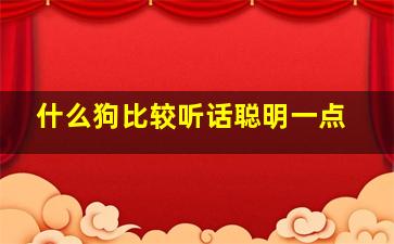 什么狗比较听话聪明一点