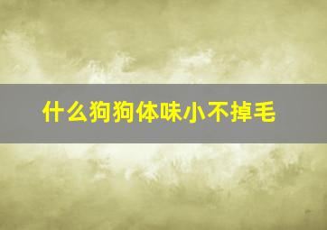 什么狗狗体味小不掉毛