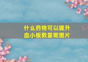 什么药物可以提升血小板数量呢图片