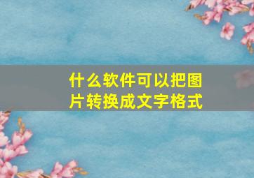 什么软件可以把图片转换成文字格式