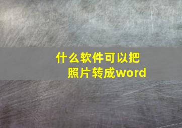 什么软件可以把照片转成word