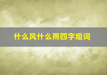 什么风什么雨四字组词