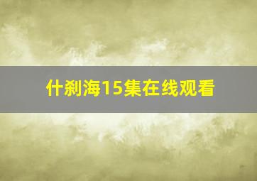 什刹海15集在线观看