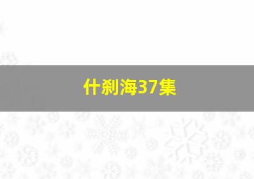 什刹海37集