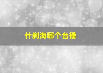 什刹海哪个台播