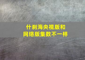 什刹海央视版和网络版集数不一样