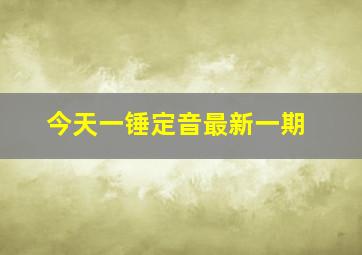 今天一锤定音最新一期