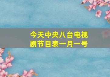 今天中央八台电视剧节目表一月一号