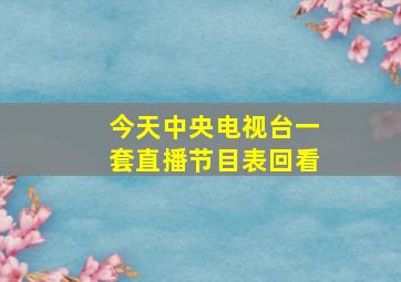 今天中央电视台一套直播节目表回看