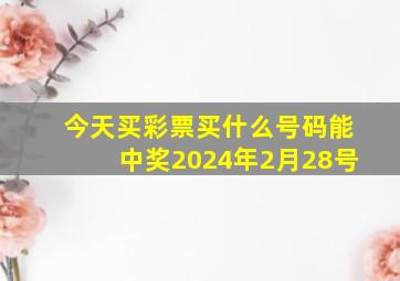 今天买彩票买什么号码能中奖2024年2月28号