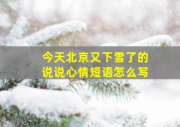 今天北京又下雪了的说说心情短语怎么写