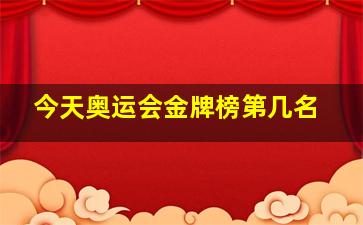 今天奥运会金牌榜第几名