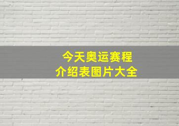 今天奥运赛程介绍表图片大全