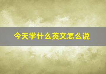 今天学什么英文怎么说