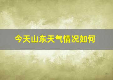 今天山东天气情况如何