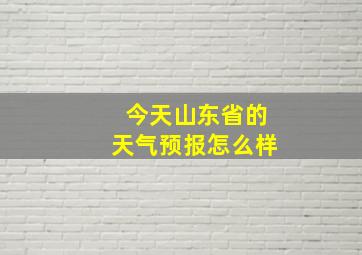 今天山东省的天气预报怎么样