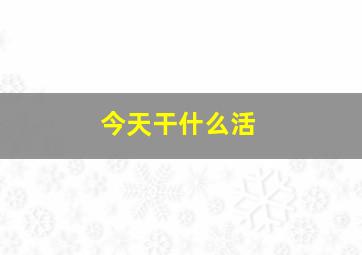 今天干什么活