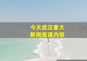 今天武汉重大新闻报道内容