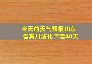 今天的天气预报山东省宾川沾化下洼40天