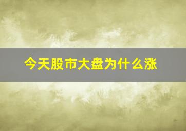 今天股市大盘为什么涨