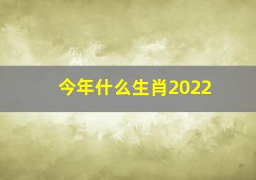 今年什么生肖2022