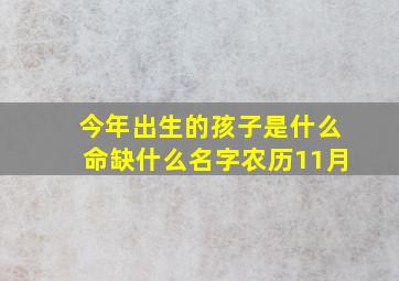 今年出生的孩子是什么命缺什么名字农历11月