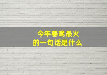 今年春晚最火的一句话是什么