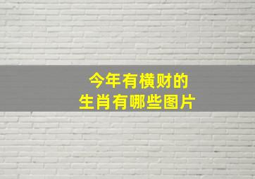 今年有横财的生肖有哪些图片