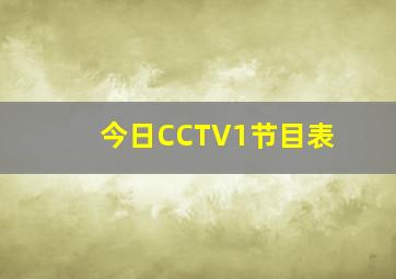 今日CCTV1节目表