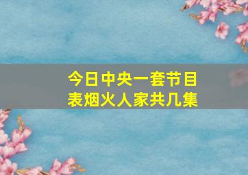 今日中央一套节目表烟火人家共几集