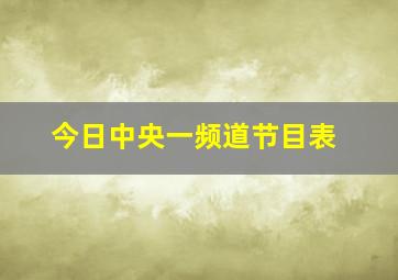 今日中央一频道节目表