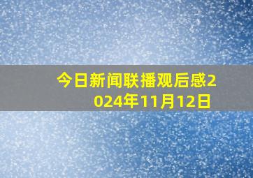 今日新闻联播观后感2024年11月12日