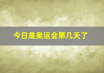 今日是奥运会第几天了