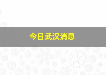 今日武汉消息