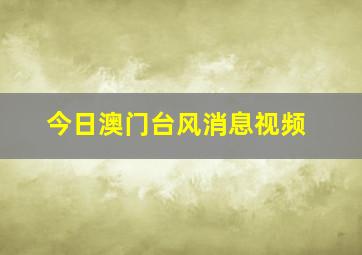 今日澳门台风消息视频