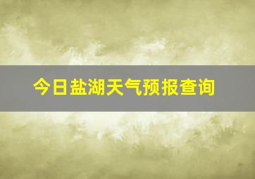 今日盐湖天气预报查询