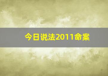 今日说法2011命案