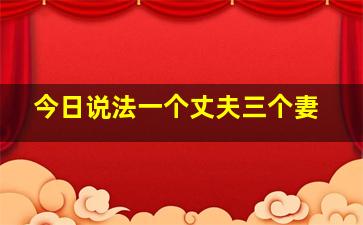 今日说法一个丈夫三个妻