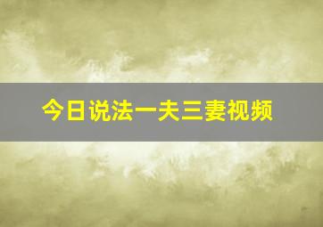 今日说法一夫三妻视频