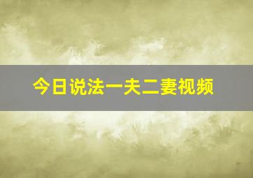 今日说法一夫二妻视频