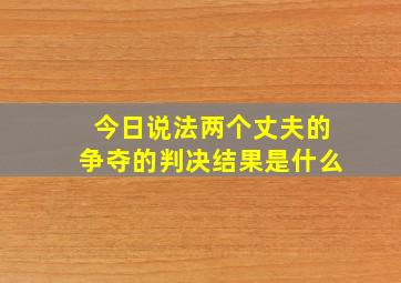 今日说法两个丈夫的争夺的判决结果是什么